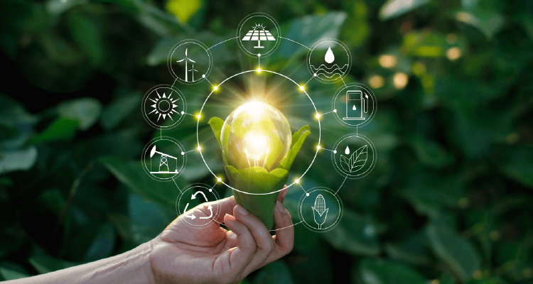 Postgraduate Diploma in Agricultural Sciences