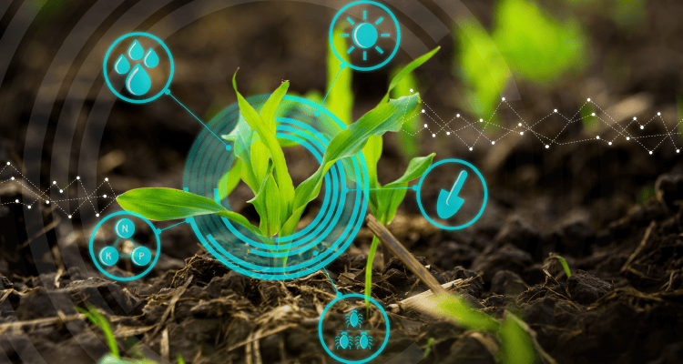 Professional Master's Degree in Agricultural Sciences