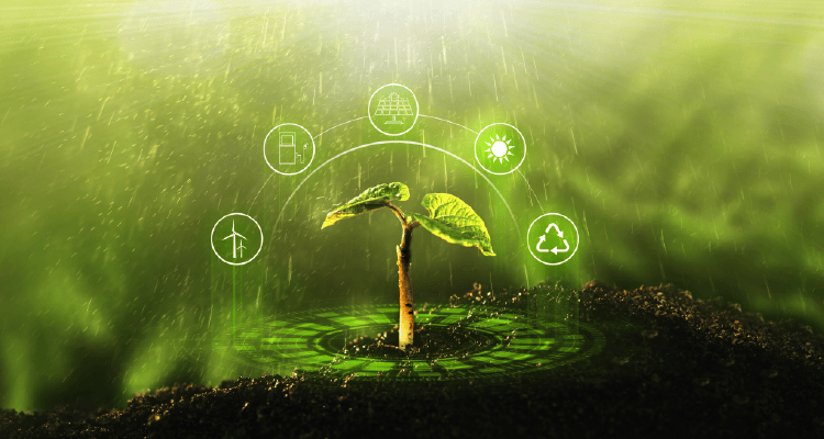 Master's degree in Agricultural Sciences