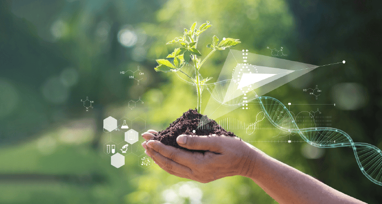 Doctor of Philosophy in Agricultural Sciences