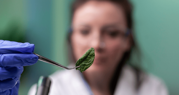 Department of Environmental Medical Sciences