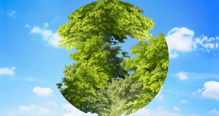 Department of Educational Sciences and Environmental Media
