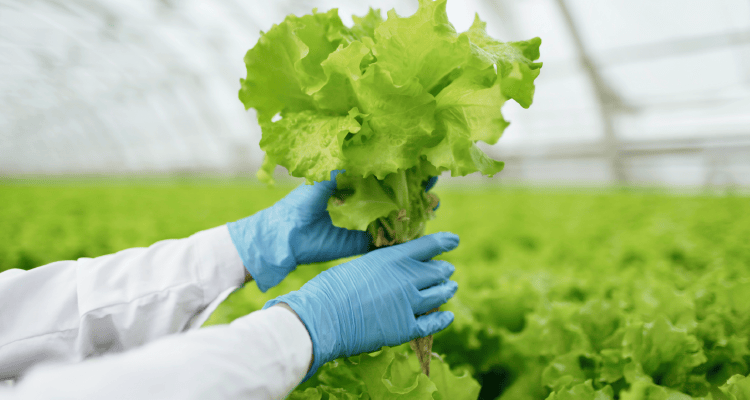 Biosystems engineering in arid regions