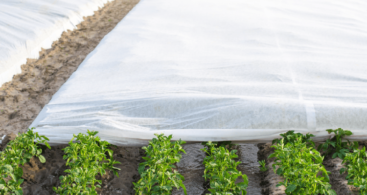 Protected farming technology in arid regions