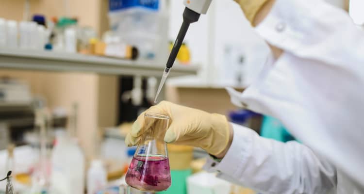 Doctor of Philosophy Degree in Pharmaceutical Sciences