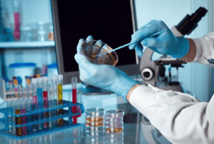 Applied Biotechnology  