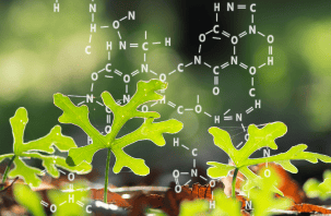  Biochemistry and Chemistry  