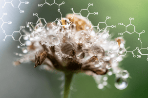  Biochemistry  