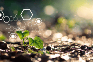  Botany and Chemistry  
